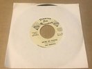 northern soul 45 THE TERRIFICS I'll Get Him Back / We're So Young   Diamond Jim