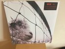 Pearl Jam - VS - 180gram Vinyl LP *NEW & SEALED*