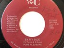 Pure Pleasure 