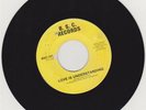 BRAIN STORM CONNECTION--LOVE IS UNDERSTANDING--B.S.C. 101-- NORTHERN SWEET SOUL