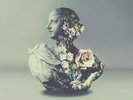 Urban Flora - Vinyl Baraz, Alina / Galimatias - Dance New LP015397