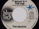 THE DELETTS: What’s the Use US Blue Rock Northern Soul DJ 7” 45 MP3