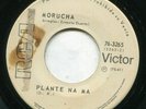 Tropical Salsa Rumba MORUCHA plane na ma KILLER CLAPPIN' gypsy rumba 1970