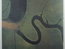 DEAD CAN DANCE The Serpent's Egg 4AD CAD 3638 LP SEALED 2017 reissue