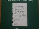 The Courteeners Vinyl Cross My Heart And Hope To Fly 7
