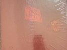 Pearl Jam Live At Benaroya Hall Sealed Mint 4 LP Set and Riot Act Vinyl