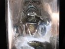 Head Knockers Iron Maiden Life After Death Limited edition Bobble head