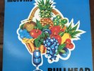 melvins bullhead lp  boner records 