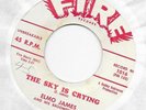 Elmo (Elmore) James & His Broomdusters 