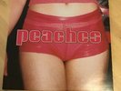 PEACHES Teaches Of Peaches 2xLP vinyl KITTY YO *Rare 2000 Release* GATEFOLD