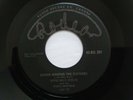 Little Billie Stoltz & The Stoltz Brothers Down Among The Flowers RARE 45 Rodeo