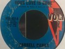 northern soul 45 DARRELL BANKS I'm The One Who Loves You   Volt