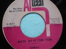 Sunday 45 Ain’t Got No Problems & Where Did He Come From Alteen Chicago Northern