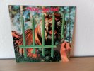 TYGERS OF PAN TANG - THE CAGE - DIE KULT-BAND DER 80er - ORIGINAL LP 1982