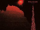 PELICAN-Nighttime Stories VINYL NEW