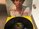 Jonathan Richman and the Modern Lovers 1976 Beserkley Lp Record JBZ-0048