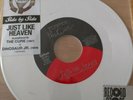 The Cure/Dinosaur Jr Just Like Heaven  2014 RSD White Vinyl 45 New Side By Side