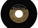 RARE DOO WOP 45 DONNIE/DEL CHORDS I'M IN THE MOOD LOVE FOR ON TAURUS VG+ ORIG