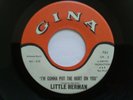 Little Herman I'm Gonna Put The Hurt On You VERY RARE original 45 MINT Gina 751