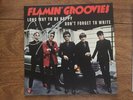 Flamin’ Groovies French Import NEW Signed By Chris Wilson