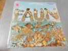 Faun Self-titled white label promo LP on Gregar psych/Americana pre Journey