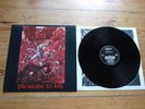 KREATOR - Pleasure To Kill    Noise Records 1986    Vinyl/LP
