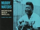 WATERS, Muddy - Sings Big Bill - Vinyl (limited 180 gram vinyl LP)