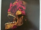 Richard H. Kirk - Black Jesus Voice - ID34z - ROUGH 99 - Vinyl LP