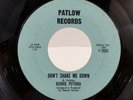 RONNIE PUTIRKA Don't Shake Me Down RARE Detroit Northern soul MOD garage