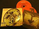 Pearl Jam Signed, Rearviewmirror, LP CD, 2003, Alt Rock, Autographed RARE