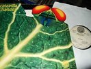 CATAPILLA : CHANGES GIMMICKCOVER LP 1972 VERTIGO SWIRL 6360074 ITALY
