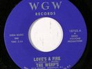 WERP'S: Love's A Fire / Shades Of Blue 45 (Garage Psych) rare Rock & Pop
