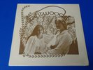 SPIRITWOOD S/T  Private Press  Rural/Psych FOLK DUO Orig 1979 SEALED