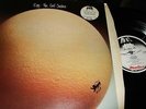EGG : THE CIVIL SURFACE LP 1974 CAROLINE C 1510 UK