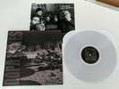 THE DOPAMINES Tales Of Interest LP teenage bottlerocket.ergs CLEAR VINYL / 225