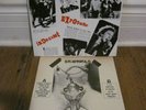 SEX PISTOLS.INDECENT EXPOSURE.Purple Brown Vinyl.