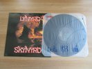 Lynyrd Skynyrd - Free Bird Simple Man 1991 Korea LP