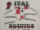 Dub Specialist ITAL SOUNDS & SYSTEM DUB Studio One LP SILKSCREEN COVER Listen