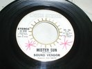 SOUND VENDOR Mister Sun/In Paradise 45 Garage Psych Liquid Stereo From 1968 RARE