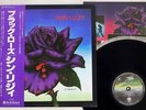 THIN LIZZY BLACK ROSE VERTIGO RJ-7587 Japan OBI VINYL LP