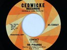 Surf Inst. 45 - Pyramids - Contact/Pressure - Cedwicke - VG++ mp3