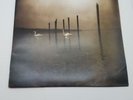 Conference of the Birds by Om, LP (12