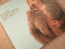 Ellie Goulding : Delirium VINYL (2015) Boxset