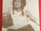 Bob Marley & The Wailers Africa Unite The 7