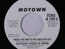 DIFFERENT SHADES OF BROWN: When The Hurt Is Put Back On You / Mono 45 (dj)