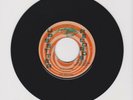 UPSETTER/ DREAMLAND - BUNNY WAILER & THE WAILERS (71 REGGAE ROOTS 7