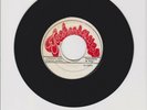 TECHNIQUES/ GO FIND YOURSELF A FOOL - SHADES (69 REGGAE ROOTS 7