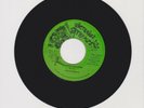 VICTORIOUS STEPPERS/ SHADDAI CHILDREN - VICEROYS (80 REGGAE ROOTS 7