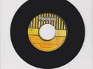 VIRGONIAN/ WHY CAN'T WE LIVE TOGETHER - TINGA STEWART (77 FUNKY REGGAE ROOTS 7