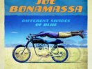 BONAMASSA JOE DIFFERENT SHADES OF BLUE VINILE LP NUOVO SIGILLATO